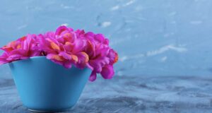 Fiori fucsia in un vaso azzurro: attirare l'uomo giusto senza cercarlo