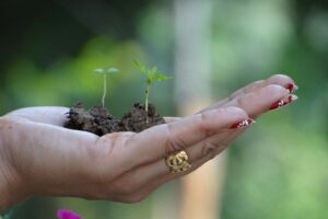 Abraham Hicks e Papaji: un germoglio che nasce dalla terra, il desiderio come seme